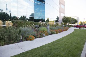Lawn and Garden Show 2017