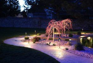 Entrance Trees Lightning-Landscape Lighting