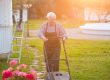 How do I choose a lawn care service?