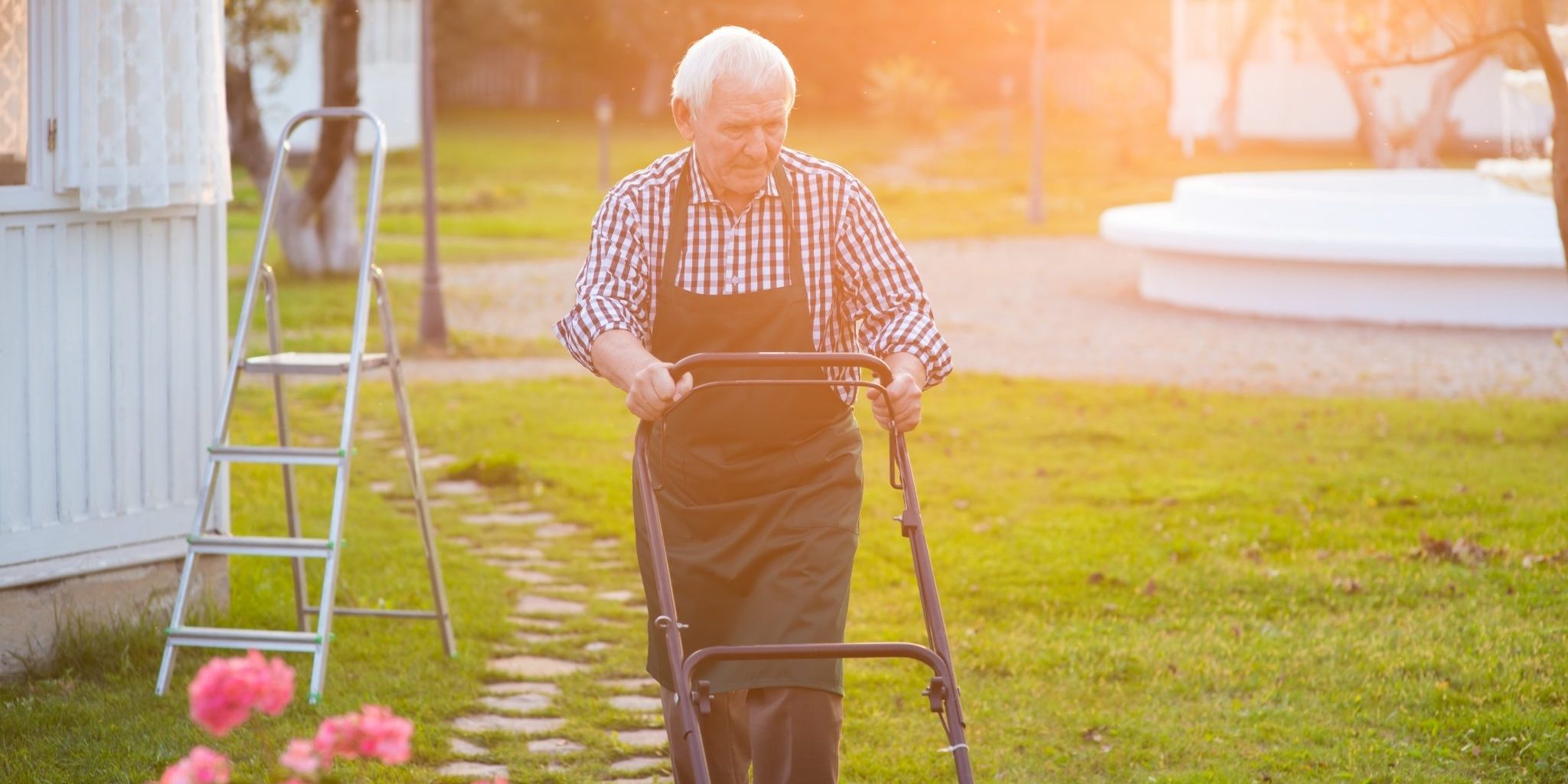 How do I choose a lawn care service?