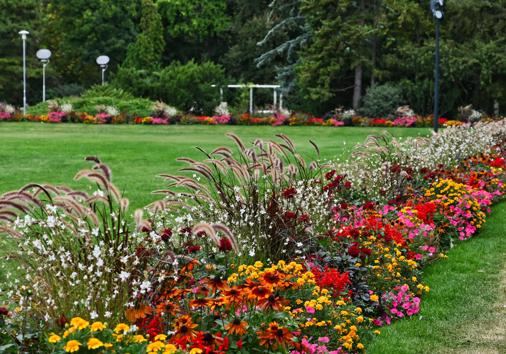 Where To Get The Best Small Flower Bed Ideas For Your Lawn