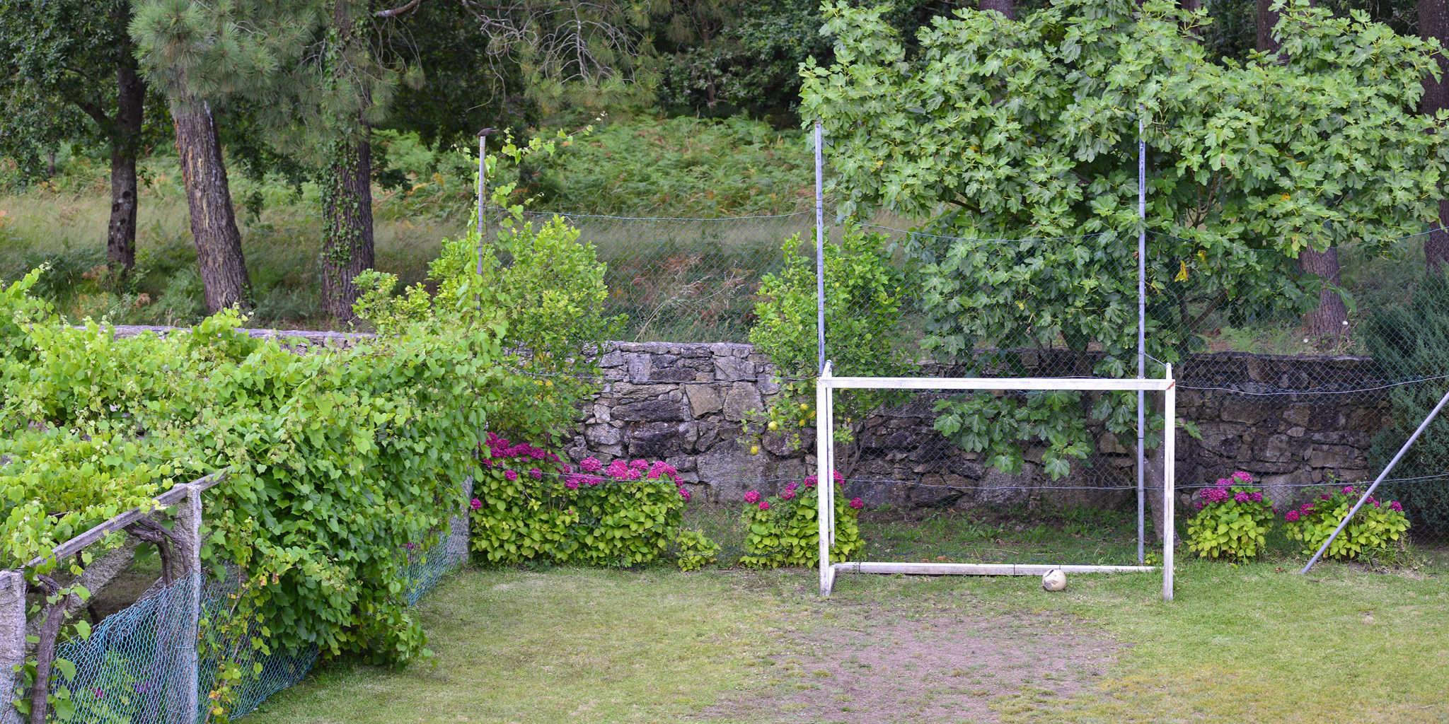 Materials are Used for Making a Football Backyard Court | Affordable Lawn Care and Landscape